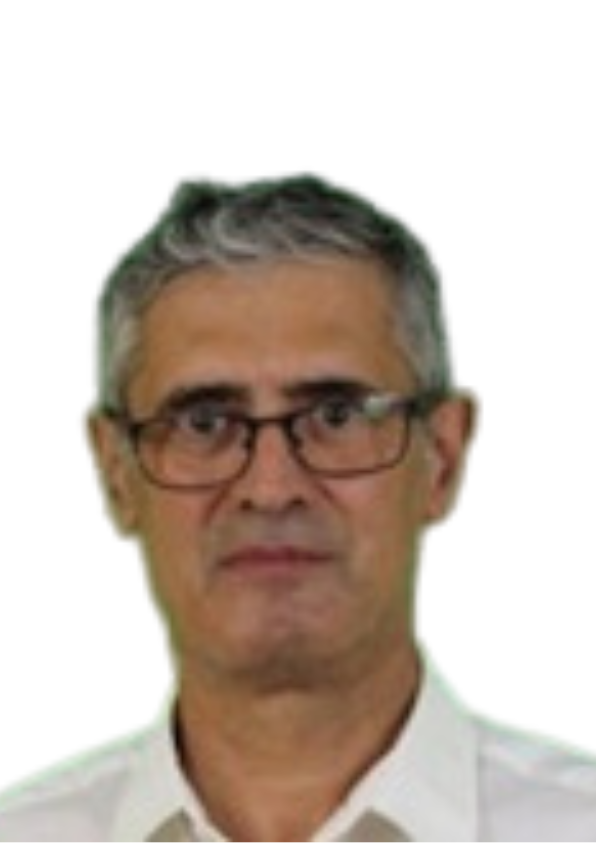 Celestino Manuel Almeida Esteves 